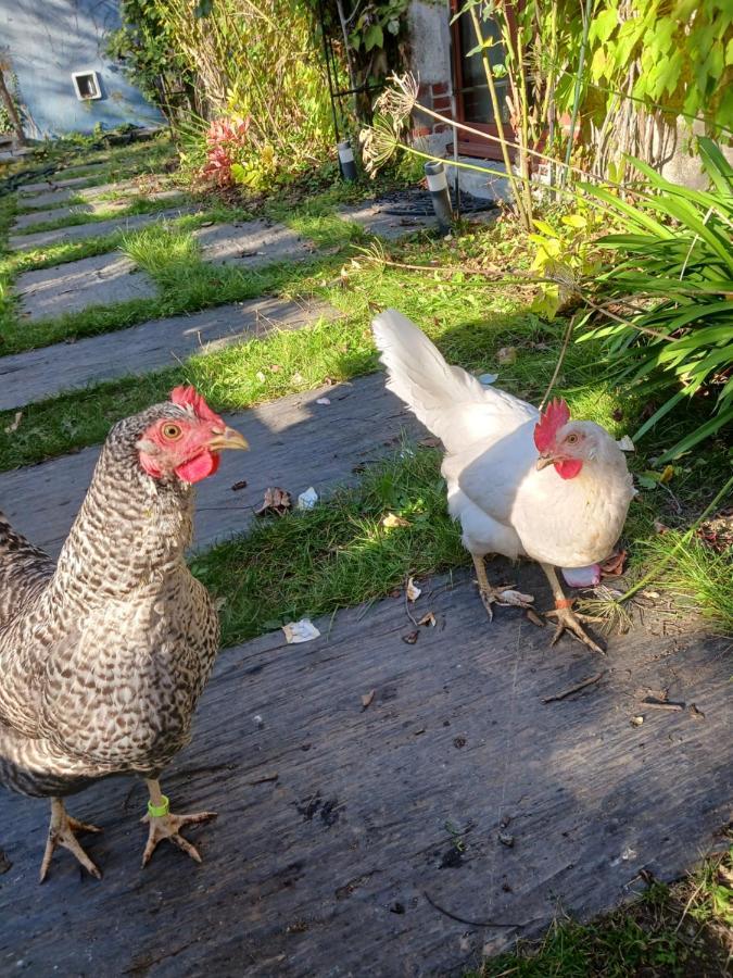 Logement Entier - Le Pigeonnier De La Plume Nantes Exterior foto